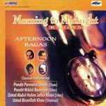 M To M Afternoon Ragas Classical Instrumental - Pandit V.G. Jog Song Download